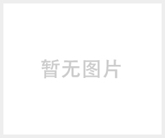 氣動閘閥（Z641）